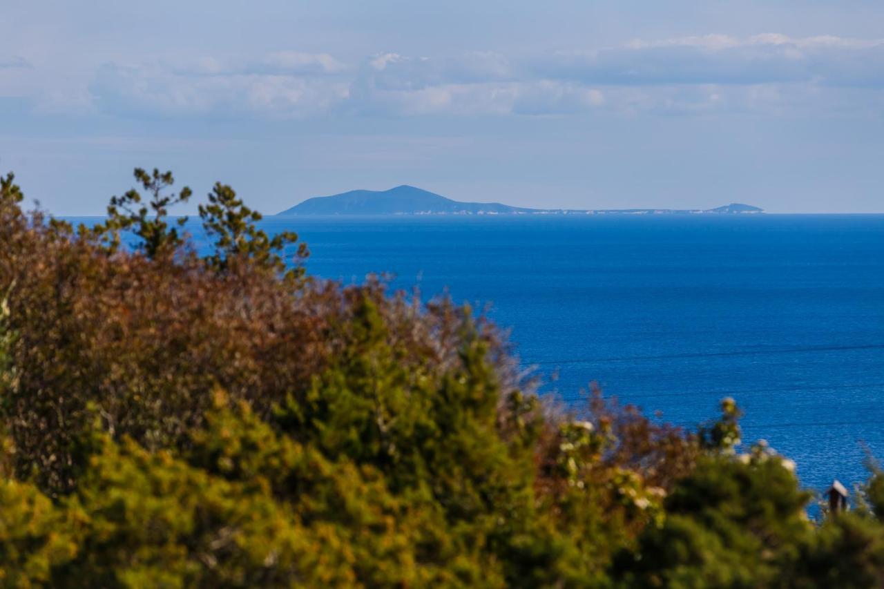 Villa Luana Vis Buitenkant foto